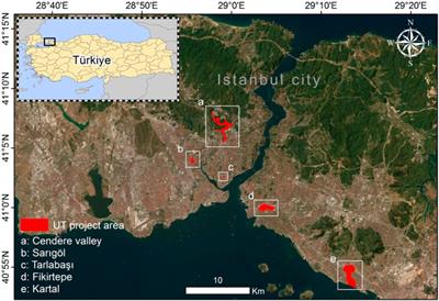 The green divide and heat exposure: urban transformation projects in istanbul